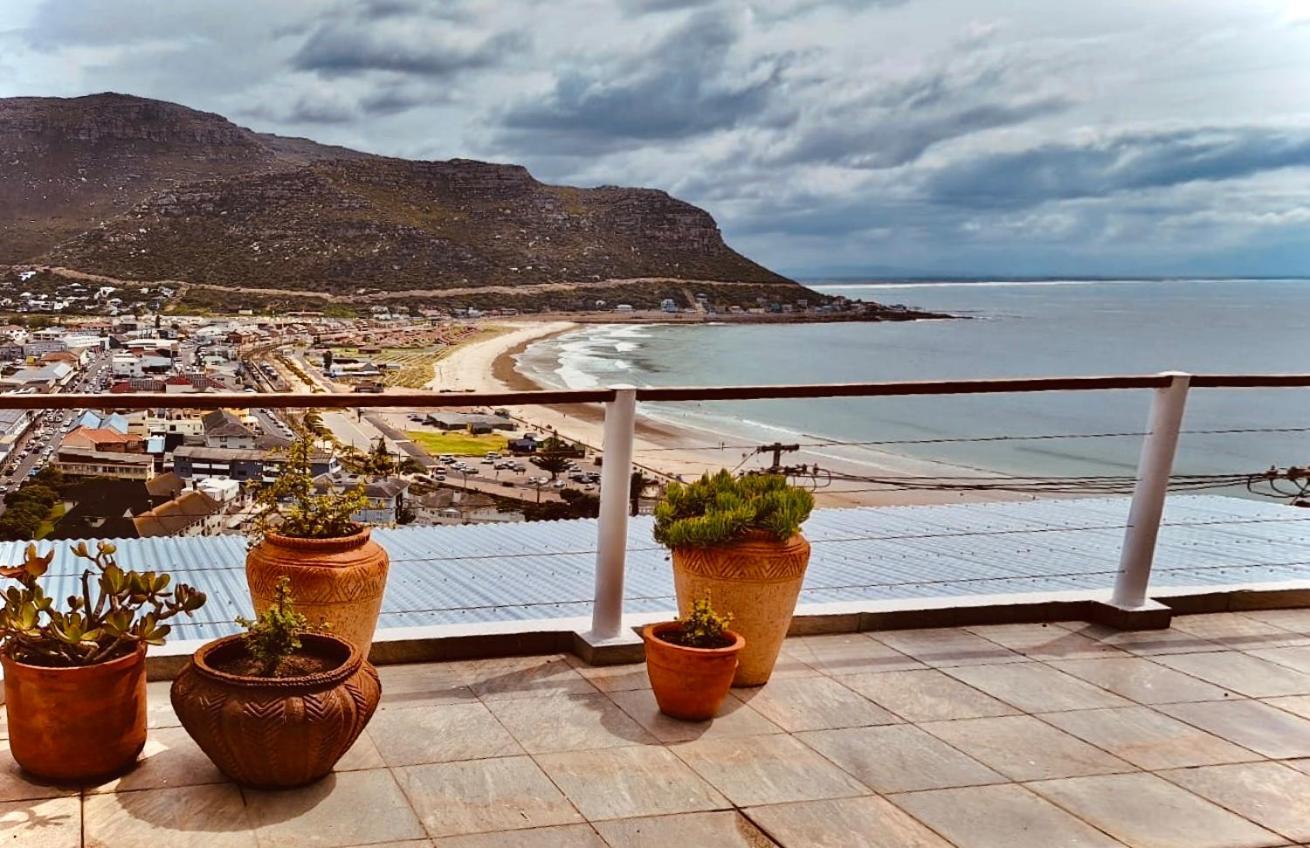 Watching Waves, Heron Chase Fish Hoek Exteriör bild